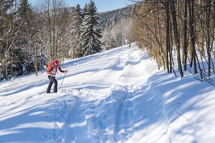 Half-Day Snowshoeing on Ještěd from Prague — Evening Hike & Hilltop Design Restaurant photo 3