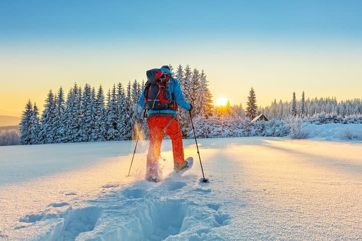 Half-Day Snowshoeing on Ještěd from Prague — Evening Hike & Hilltop Design Restaurant photo 5