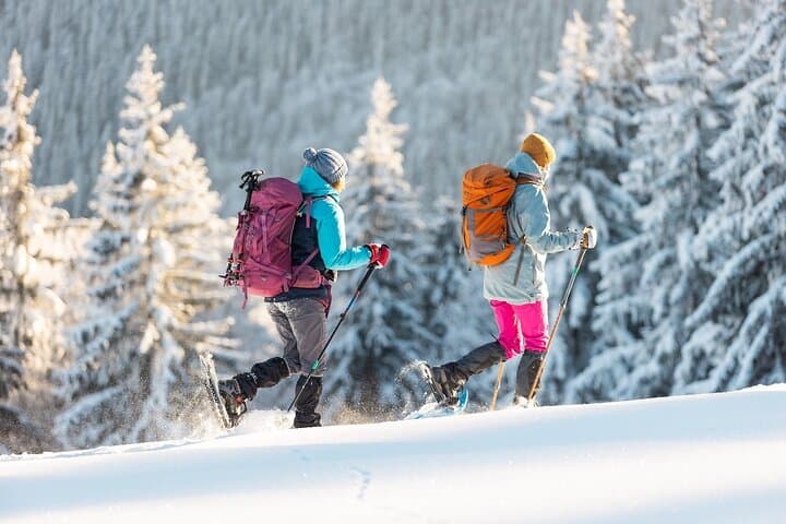 Half-Day Snowshoeing on Ještěd from Prague — Evening Hike & Hilltop Design Restaurant