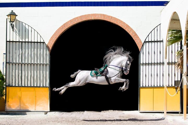 Ritmo a Caballo — Horse and Flamenco Show in Málaga photo 2