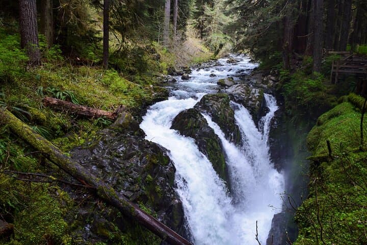 Sol Duc, Lake Crescent & Hurricane Ridge: Full-Day Guided Tour of Olympic National Park photo 2