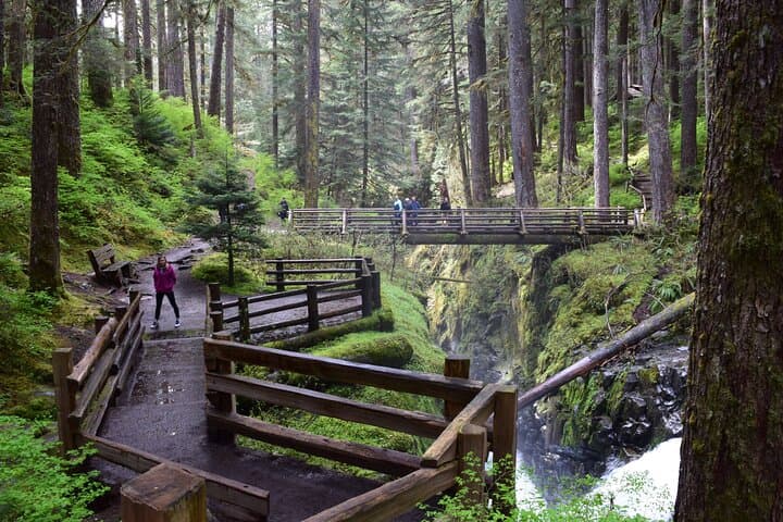Sol Duc, Lake Crescent & Hurricane Ridge: Full-Day Guided Tour of Olympic National Park photo 3