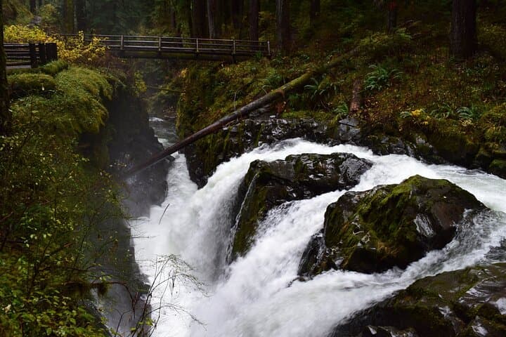 Sol Duc, Lake Crescent & Hurricane Ridge: Full-Day Guided Tour of Olympic National Park photo 4