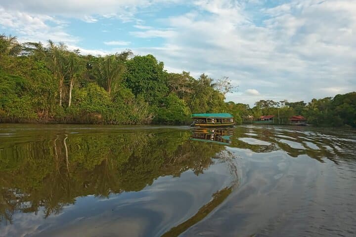 Itaya and Amazon River Confluence Cruise — Dolphin & Riverbank Wildlife Tour photo 4