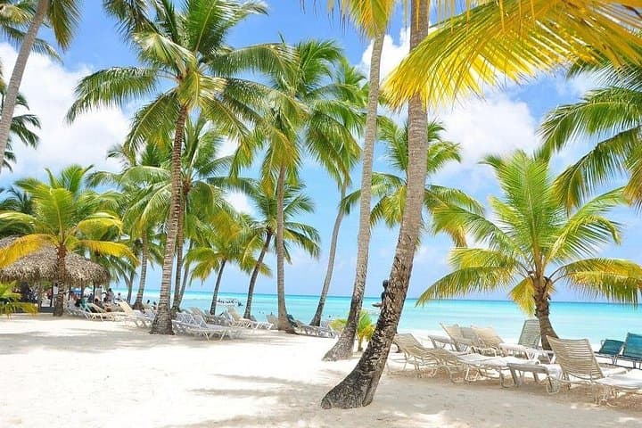 Saona Island VIP Private Boat Tour — Private Catamaran & Natural Pool (6 hours) photo 3