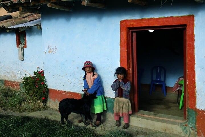 Puno to Oruro Private Transfer with Uros Islands Stop — Lake Titicaca Sightseeing photo 2