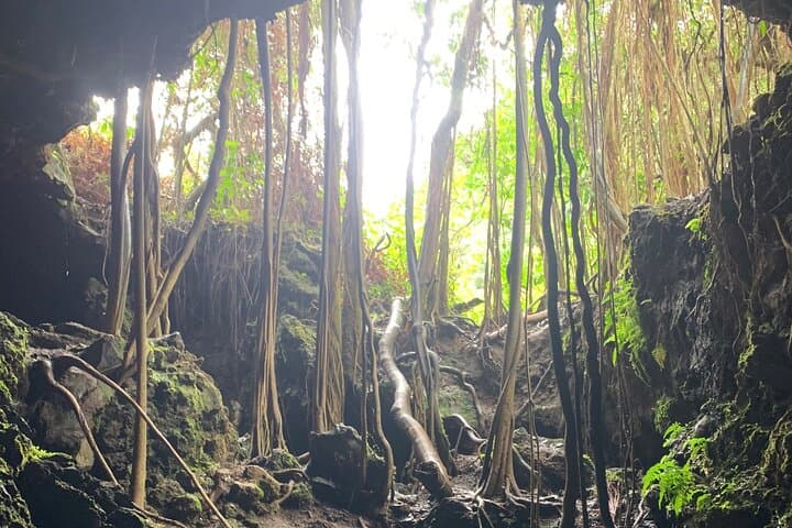 Private Road to Hana Full-Day VIP Tour from Lahaina & Kapalua photo 5