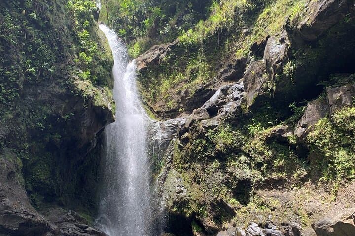 Private Road to Hana Full-Day VIP Tour from Lahaina & Kapalua photo 6