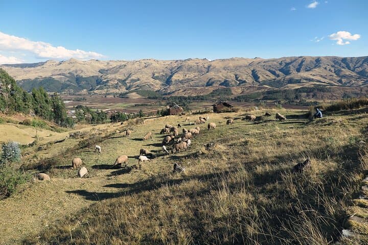 Private Transfer from Puno to Chivay with Calera Hot Springs Stop photo 2
