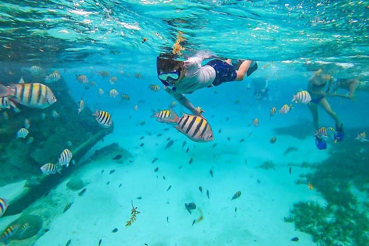Isla Mujeres Day Trip: Snorkel the Shipwreck and Drive a Golf Cart photo 2