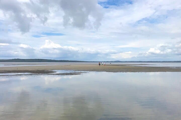 Secrets of Noosa: Oceanview Lunch, Everglades Lookouts & Noosa River Ferry photo 3