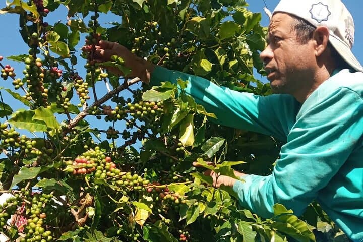 Sarangkot Coffee Farm Hike: Village Coffee Culture & Local Life Tour photo 4