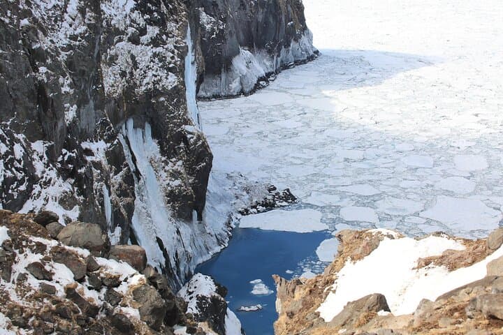 Primeval Forest Snowshoe Hike and Wildlife Watching on Shiretoko Peninsula