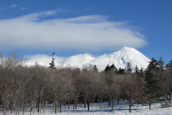 Primeval Forest Snowshoe Hike and Wildlife Watching on Shiretoko Peninsula photo 4