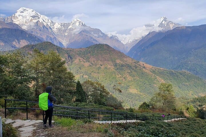 Annapurna Sunrise Trek and Chitwan Wildlife Safari: Mountains, Culture & Rhinos