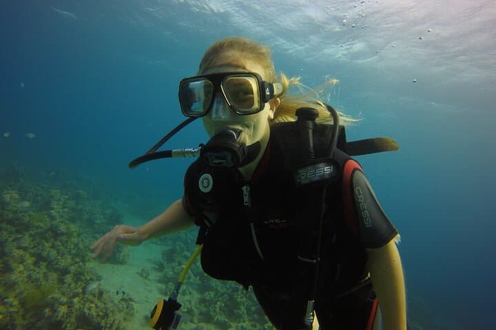 Intro Scuba Dive in Aqaba: Discover the Red Sea Coral Reefs photo 4