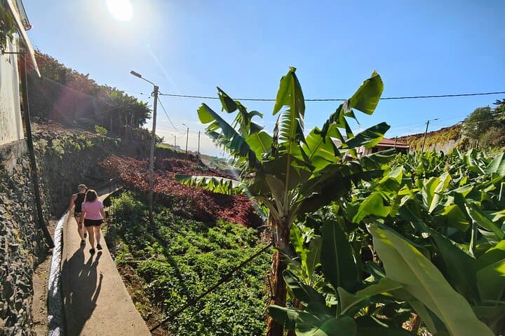 Madeira Half-Day 4x4 Safari to Nun's Valley, Cabo Girão & Hidden Villages photo 4