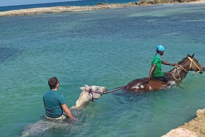 Private Horseback Riding from Falmouth to St Ann's Bay photo 4