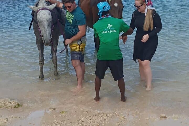 Private Horseback Riding from Falmouth to St Ann's Bay photo 5