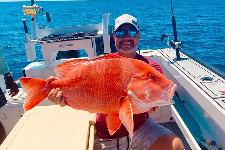 Seychelles Big-Game Fishing: Offshore Angling in the Indian Ocean photo 3