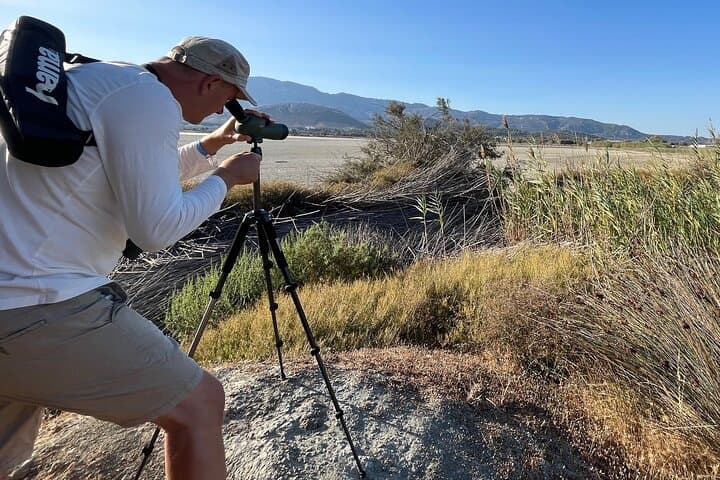 Guided Wildlife Walks on Kos: birdwatching and nature photography tours photo 4