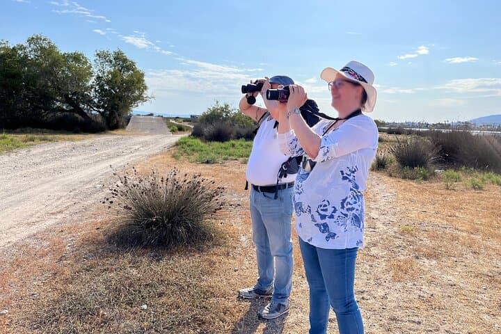 Guided Wildlife Walks on Kos: birdwatching and nature photography tours photo 2