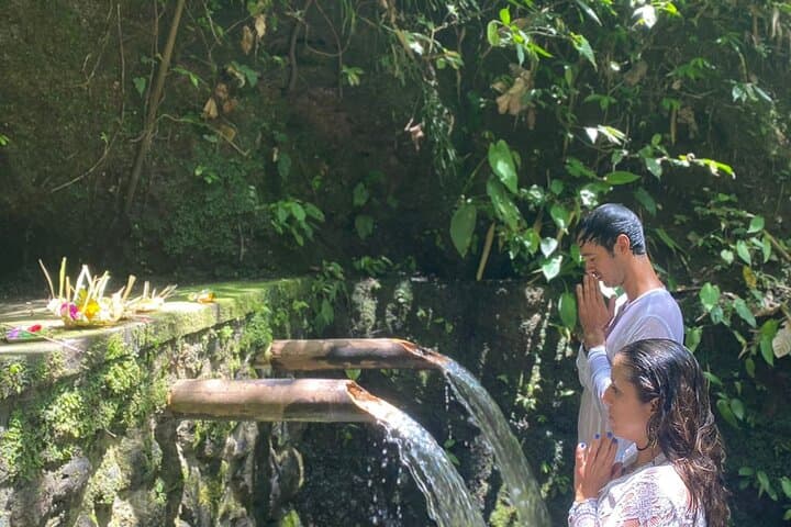 Ubud Sacred Purification Ceremony, Tegalalang Rice Terrace & Coffee Plantation Day Tour photo 6