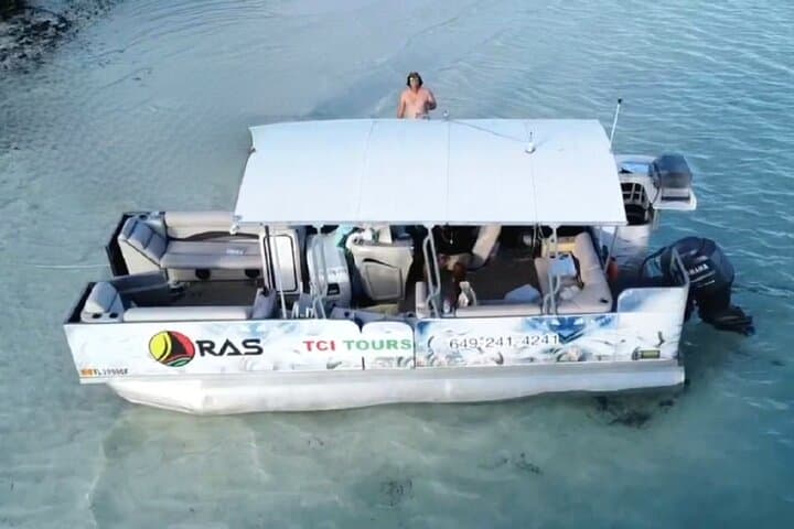 Half-Day Private Iguana Island Charter from Providenciales — Snorkel, Sand Dollars & Rock Iguanas