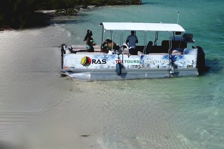 Half-Day Private Iguana Island Charter from Providenciales — Snorkel, Sand Dollars & Rock Iguanas photo 2