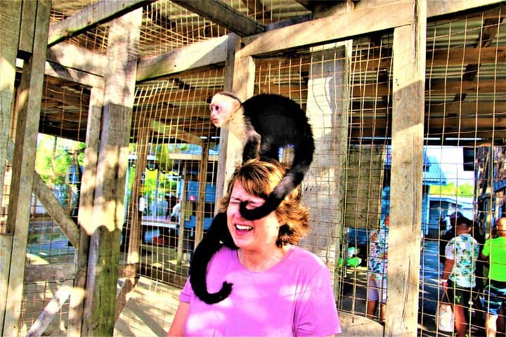 Roatán Zipline and Sloth Park Adventure: Canopy Views & Wildlife Encounters photo 5
