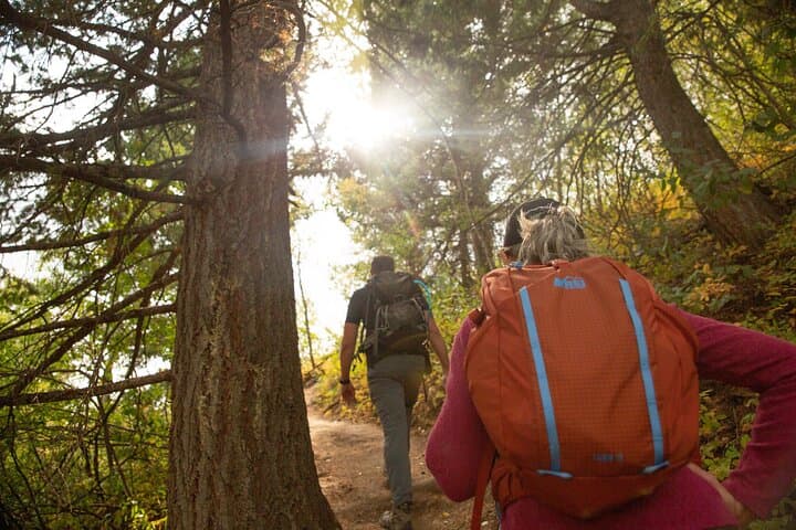 Grand Teton Full-Day Private Tour and Hike: Jenny Lake, Oxbow Bend & Mormon Row photo 4