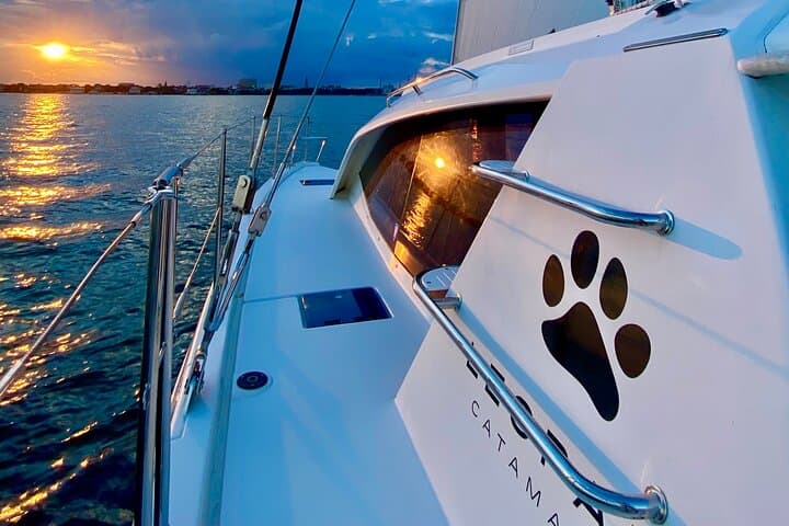 Private Charleston Harbor Catamaran Sail on Leopard 40