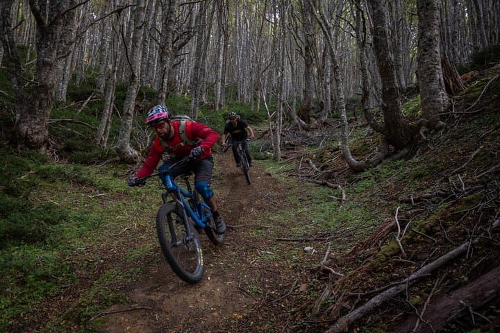 Full-Day Mountain Bike Adventure in Punta Arenas - Magallanes Reserve Trails photo 3