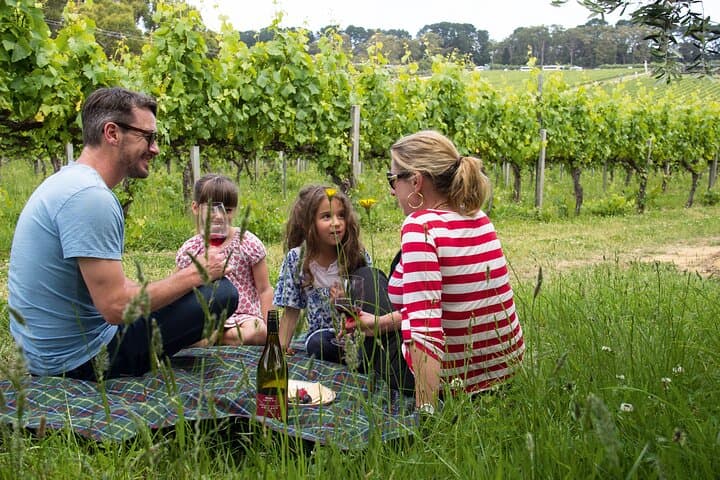 Mornington Peninsula Gourmet Full-Day Private Tour: Coastal Walks, Wildlife & Wineries