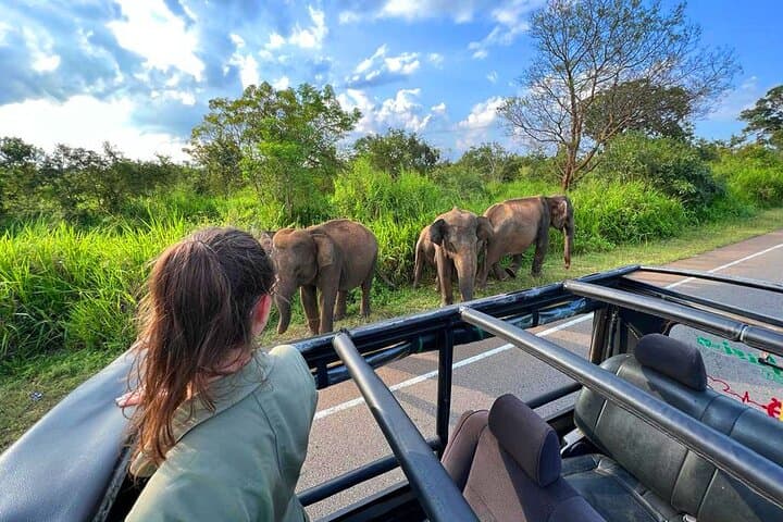 Sri Lanka 9-Day Cultural & Wildlife Circuit: Colombo, Hill Country & Yala Safari photo 4