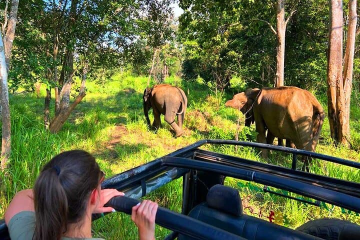 Sri Lanka 6-Day Private Tour: Sigiriya, Kandy, Galle & Bentota photo 2