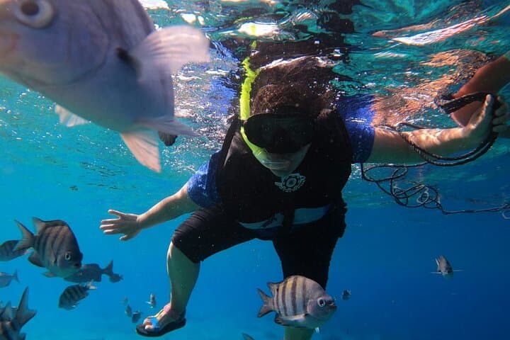 Cozumel Snorkel Tour: Explore Dzul-Ha and Paradise Reefs on Chivis del Mar photo 5