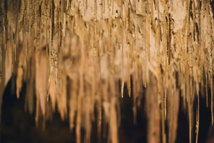 Lake Cave Fully Guided Tour — Underground Lake & Suspended Table in Margaret River photo 5