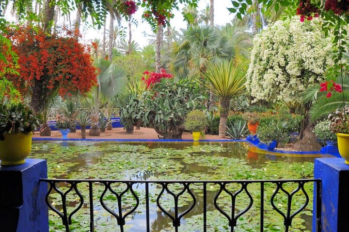 Casablanca to Marrakech: Private Day Tour to Majorelle, Bahia and Jemaa el-Fna photo 4