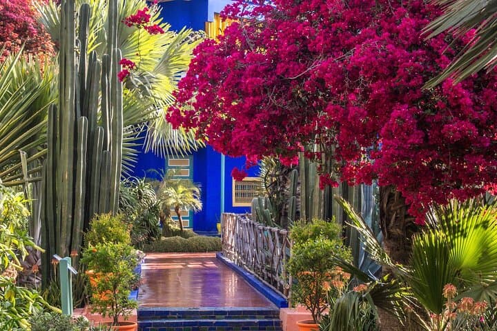 Casablanca to Marrakech: Private Day Tour to Majorelle, Bahia and Jemaa el-Fna photo 3