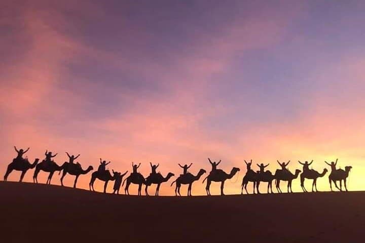 From Casablanca to Marrakech: 11-Day Private Tour of Morocco’s Imperial Cities and Sahara Dunes photo 5