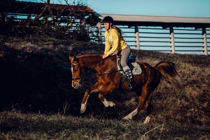 Ljubljana 1-Hour Small-Group Horseback Ride on the Outskirts