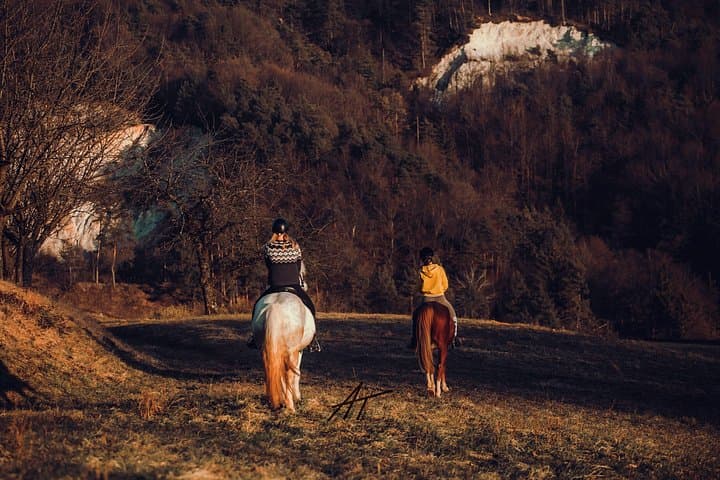 Ljubljana 1-Hour Small-Group Horseback Ride on the Outskirts photo 3