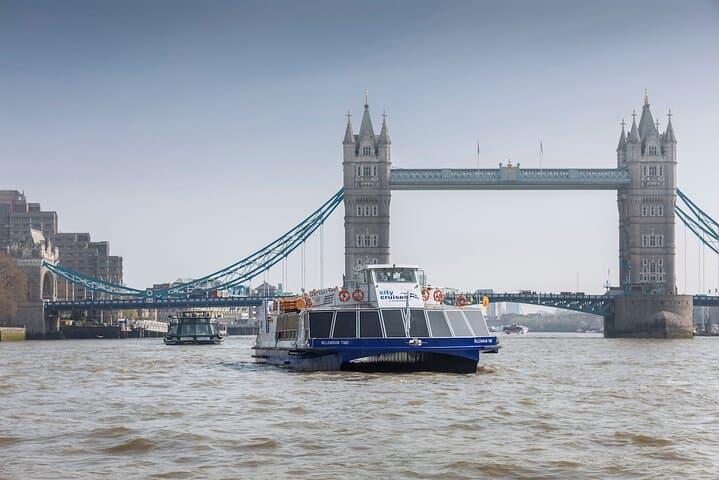 Hop-On Hop-Off Thames River Cruise: See London from the Water photo 3