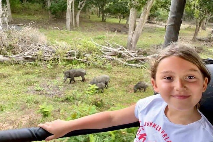 Yala National Park Private Day Safari with Lunch — Leopard-Focused Jeep Tour photo 3