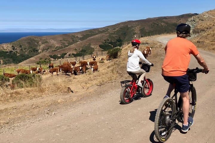 Exploring Big Sur’s Old Coast Road: A Thrilling eBike Adventure Through History and Wilderness photo 3