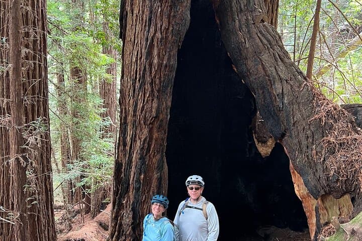 Exploring Big Sur’s Old Coast Road: A Thrilling eBike Adventure Through History and Wilderness photo 5