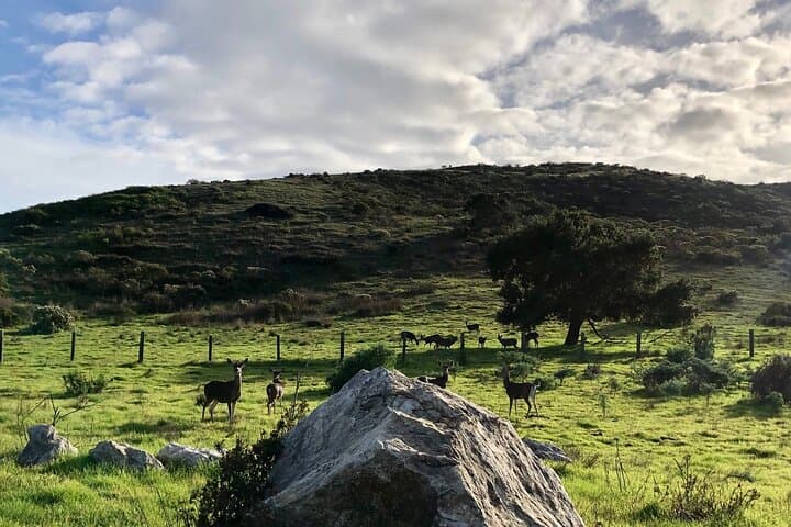 Exploring Big Sur’s Old Coast Road: A Thrilling eBike Adventure Through History and Wilderness photo 6