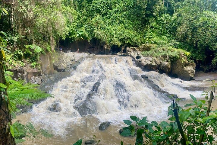 Ubud's 4 Easy-Access Waterfalls: Private All-Day Photo & Swim Tour photo 3