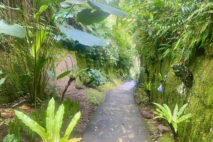 Ubud's 4 Easy-Access Waterfalls: Private All-Day Photo & Swim Tour photo 4